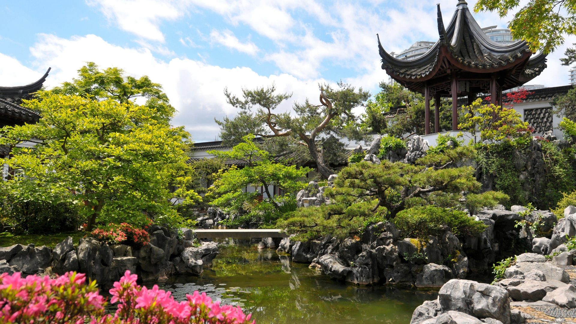 Chine