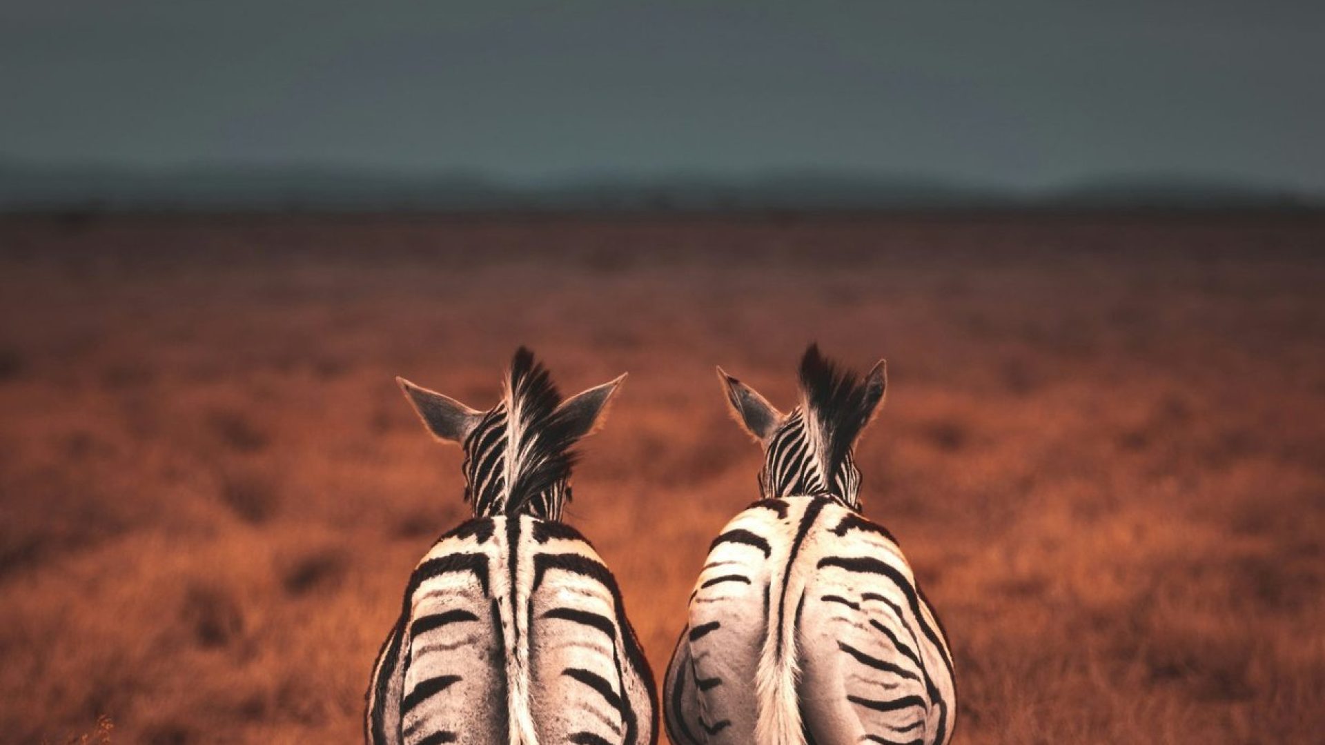 Namibie
