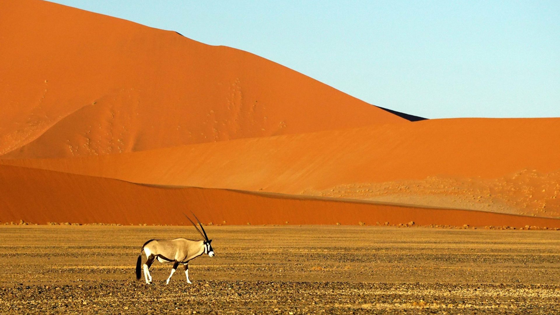 Namibie