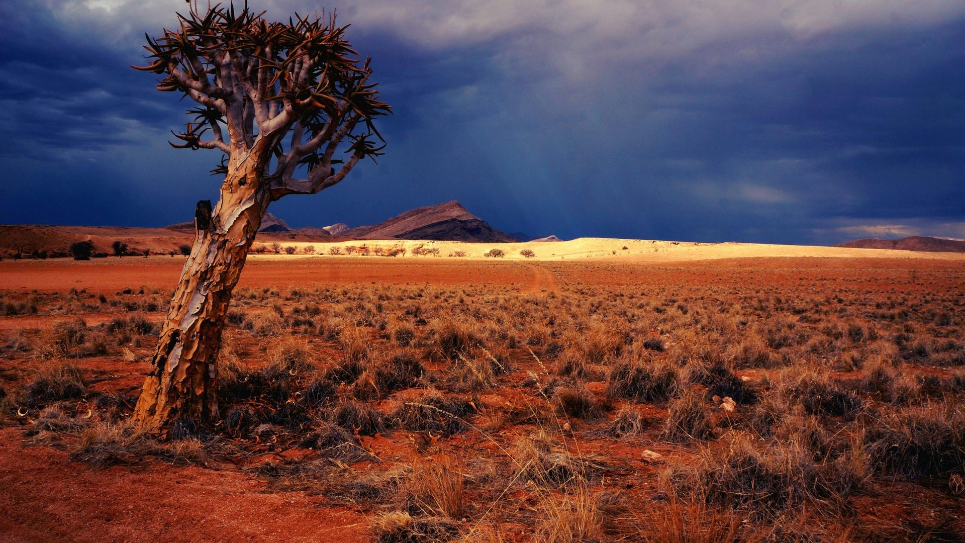 Namibie
