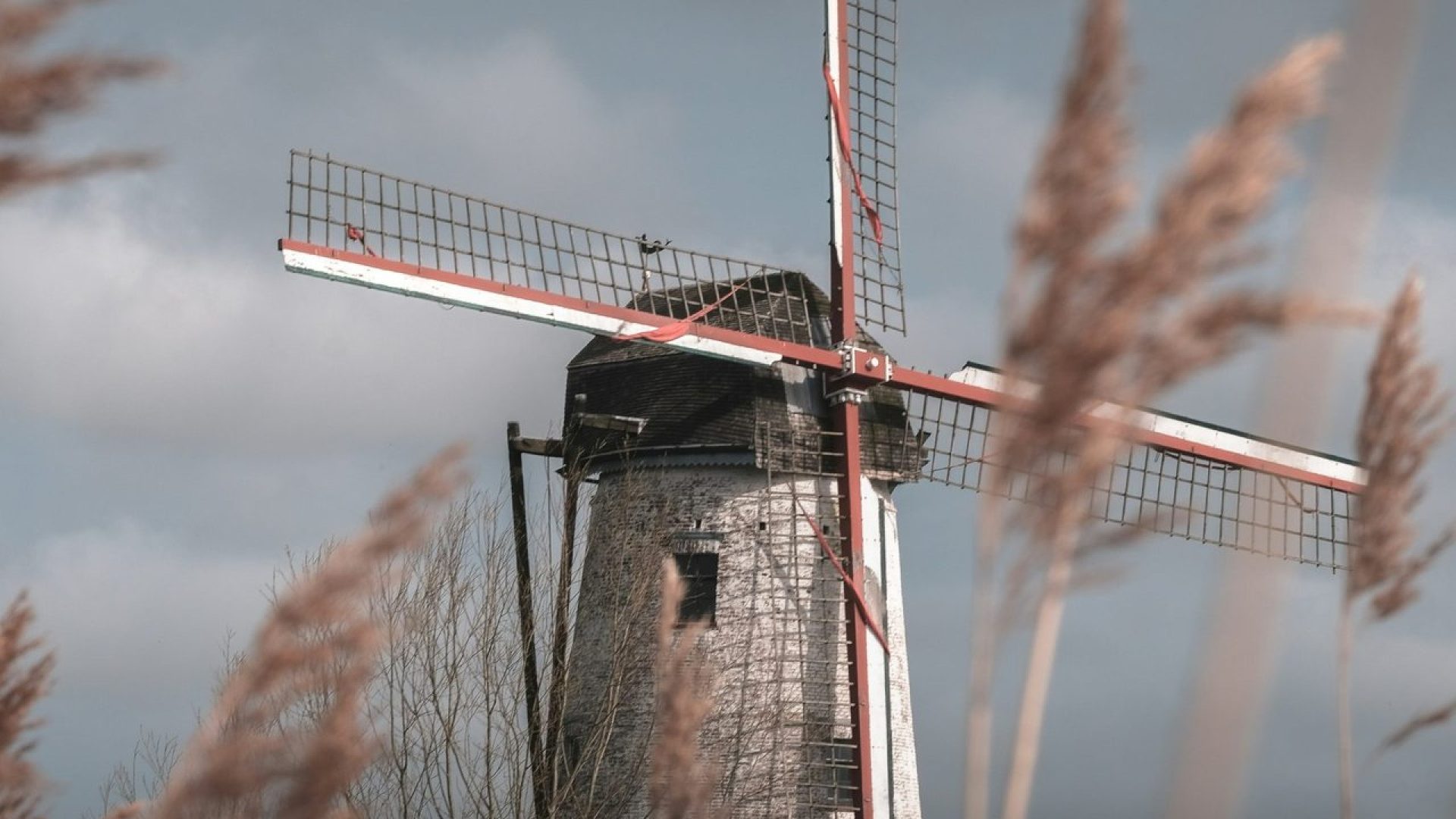 Belgique