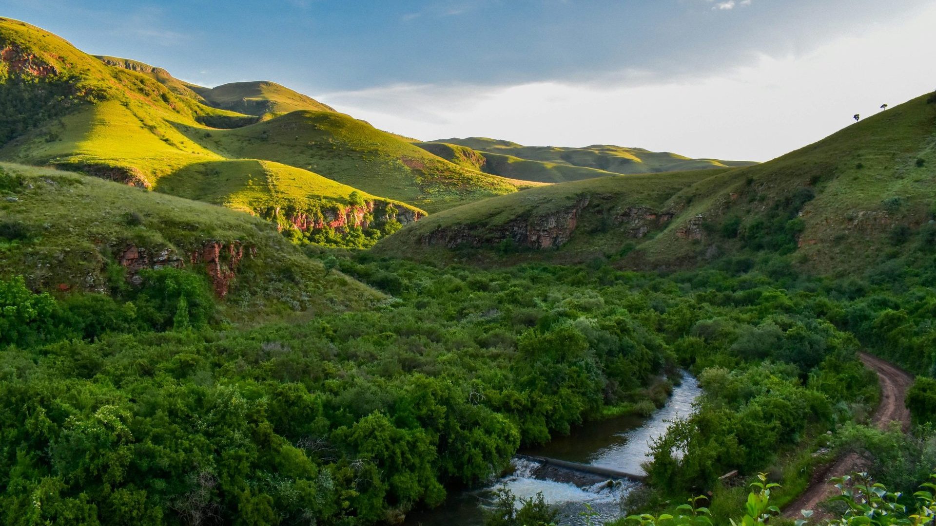 Afrique du sud