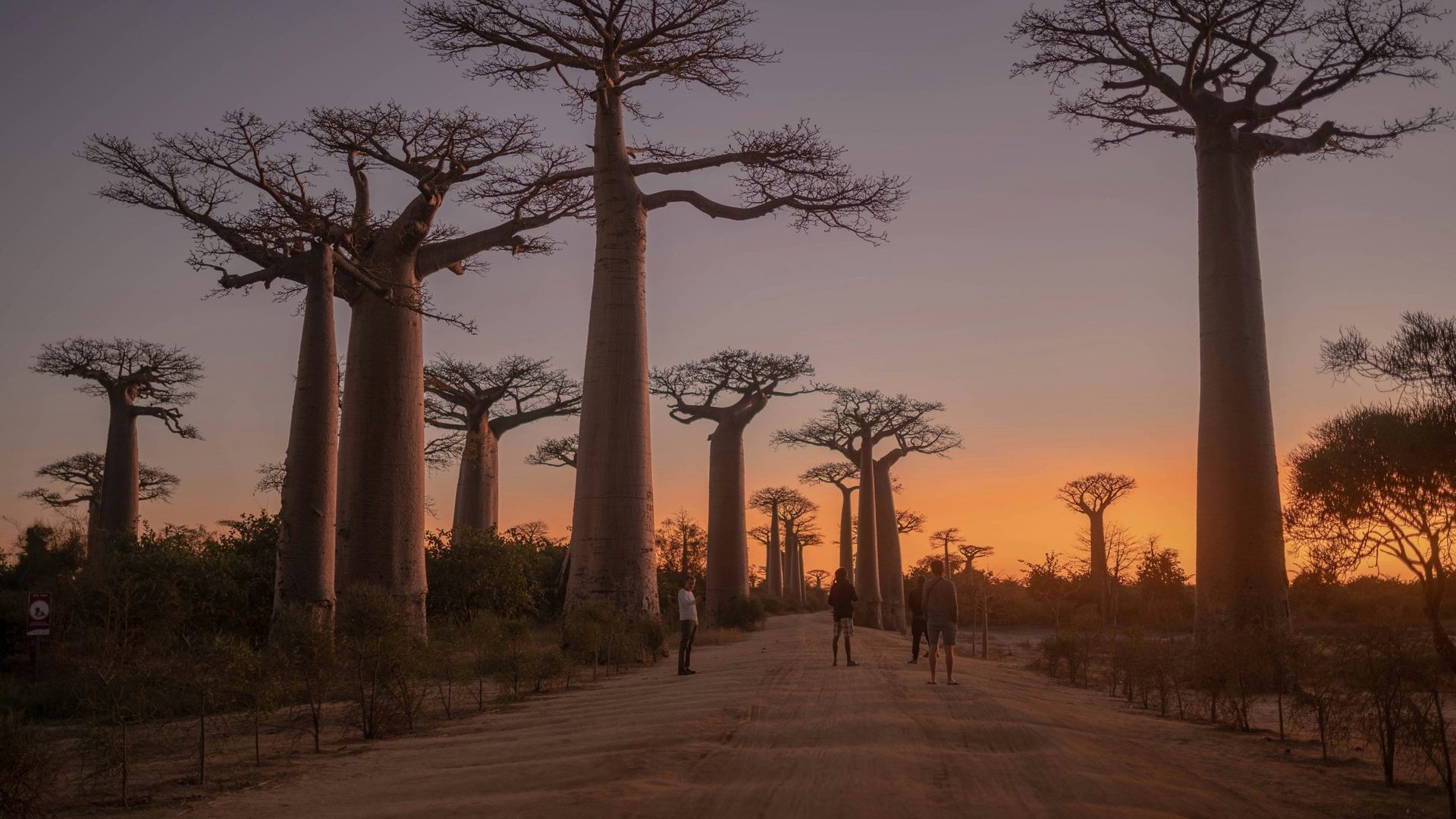 Madagascar