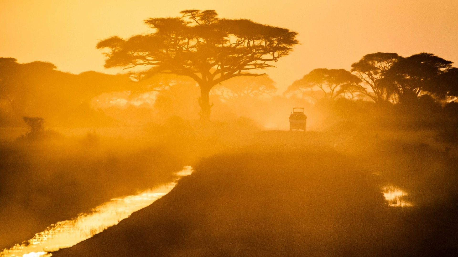Afrique du sud