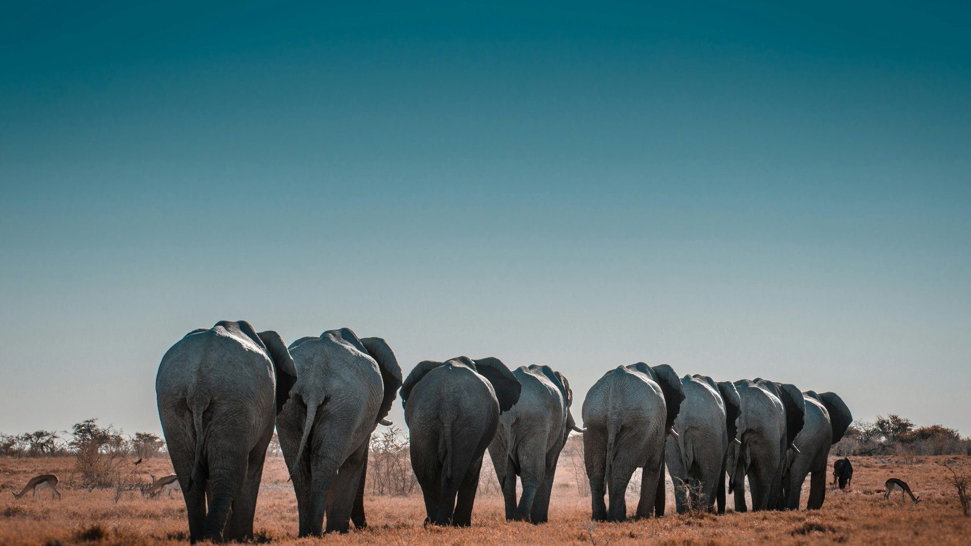 Namibie