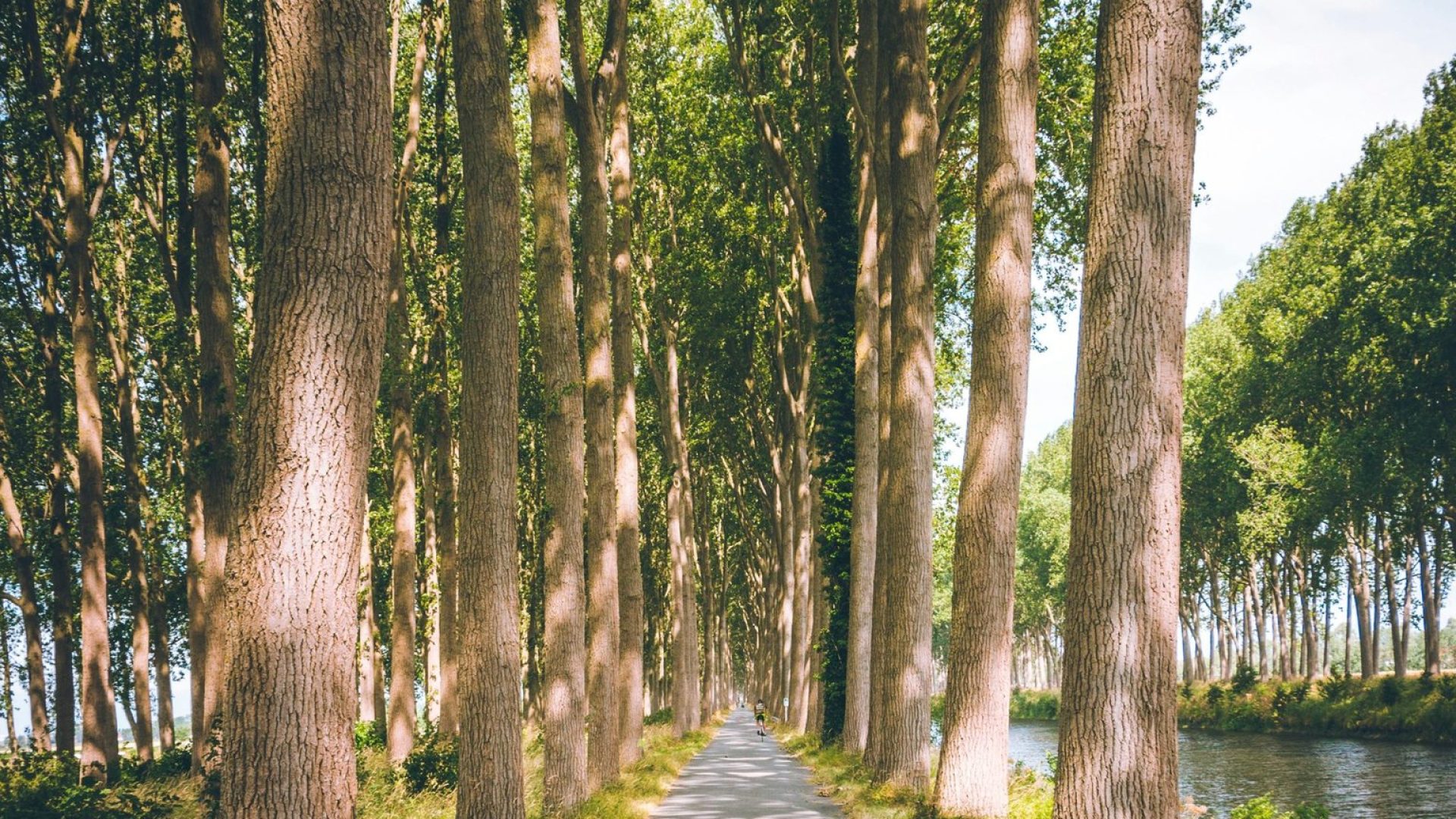 Belgique
